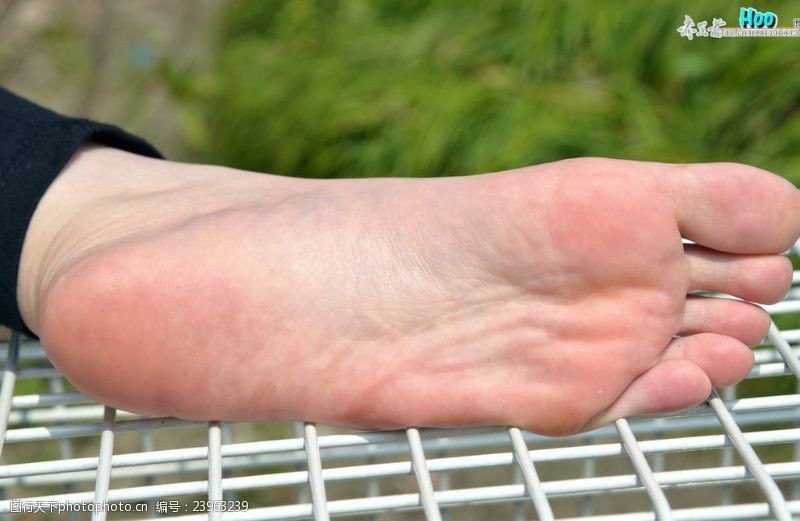 脚底板图片素材