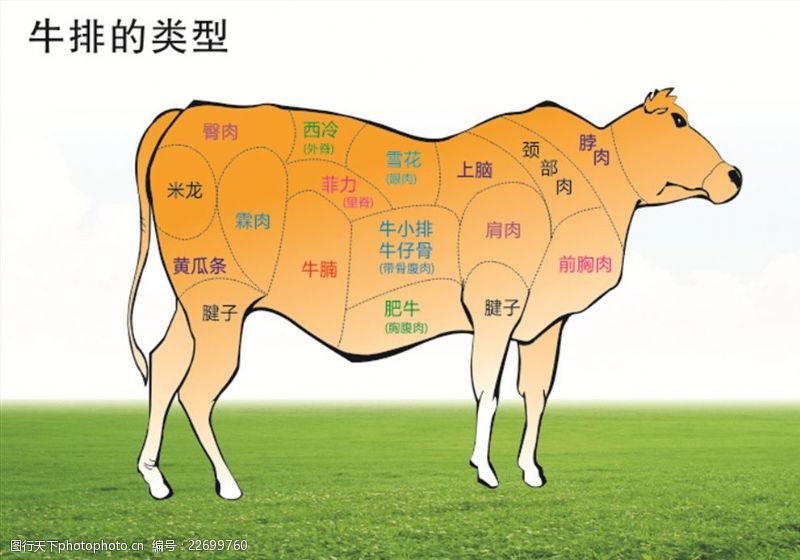 凤凰彩票：李维刚带货牛肉风波：官方调查揭示真相