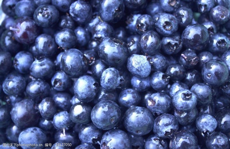 水果大世界蓝莓水果大图