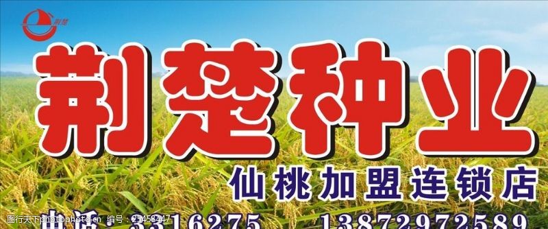 门业招牌种植种业水稻门头农业
