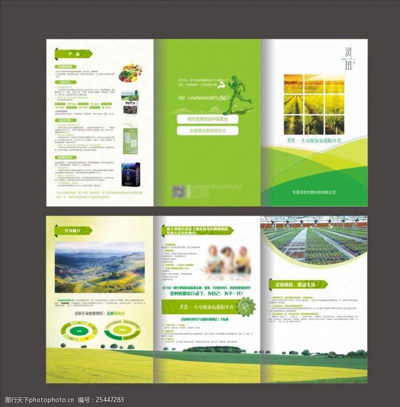 绿色农业农业三折页