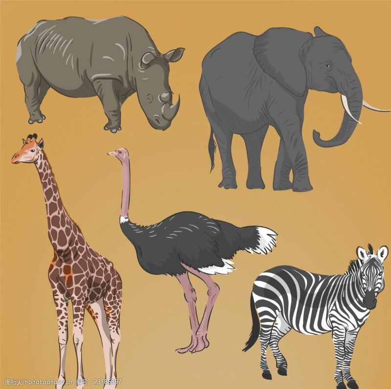 犀牛现实手绘非洲动物
