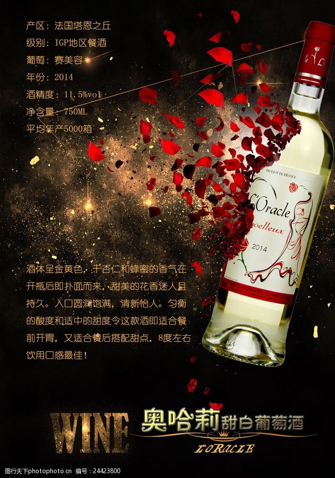 葡萄酒介绍红酒葡萄酒海报