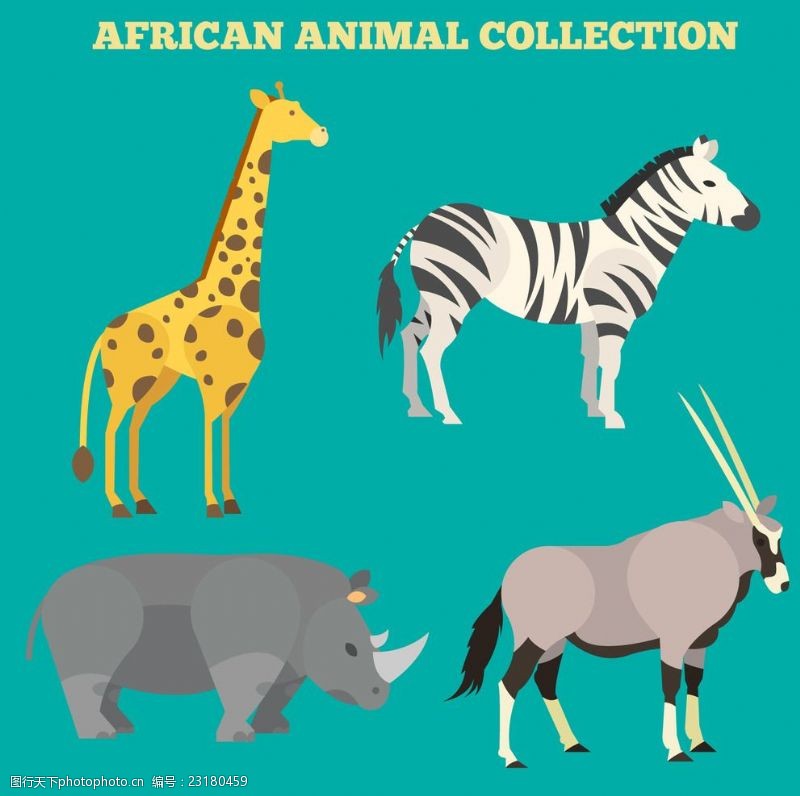 犀牛可爱的非洲动物