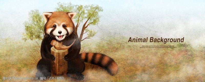 卡通熊猫小熊猫动物海报背景