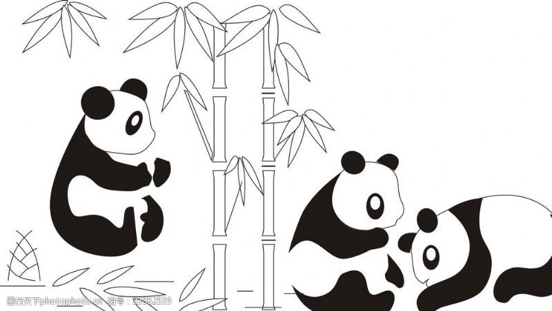 卡通熊猫熊猫