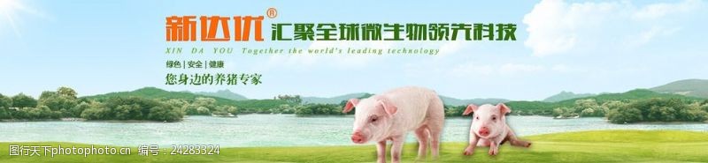 猪饲料网页首页轮播海报