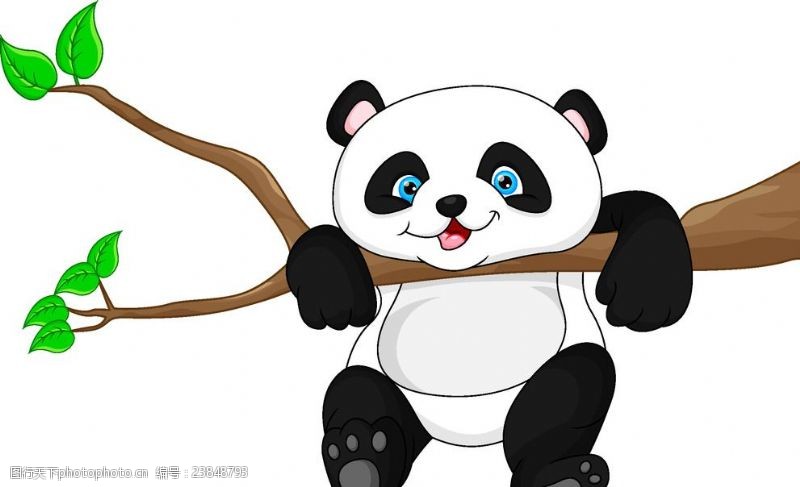 卡通熊猫掉在树枝上的熊猫
