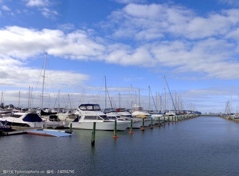 新西兰海滨风光奥克兰游艇码头风景
