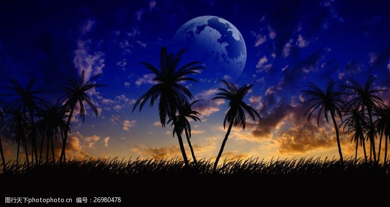 星光家居月球和椰子树图片