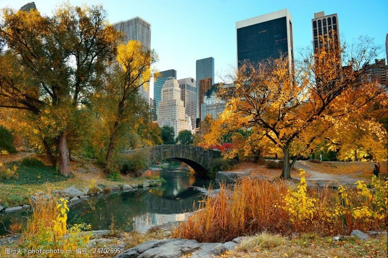 美丽家园秋天曼哈顿中央公园图片