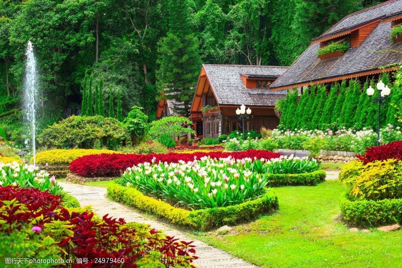 美丽家园美丽公园花卉图片