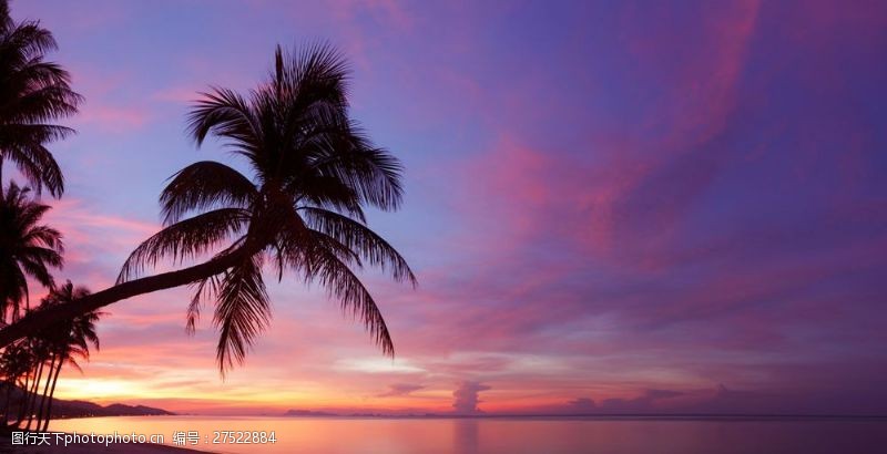 夕阳落日夕阳椰子树海洋风景图片