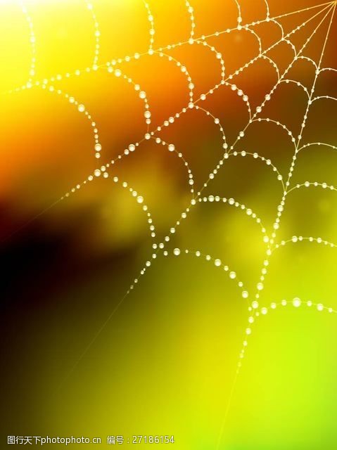 自然景象发光蜘蛛网与水滴模糊背景