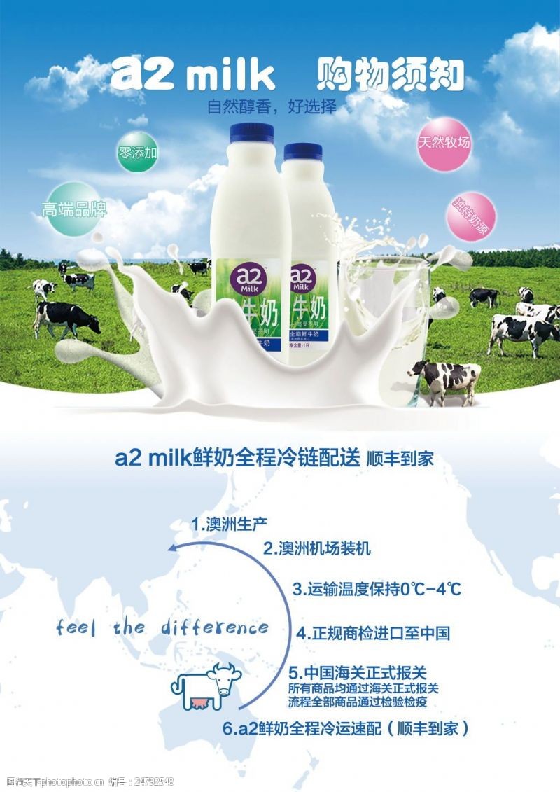 澳洲牛奶进口牛奶宣传单