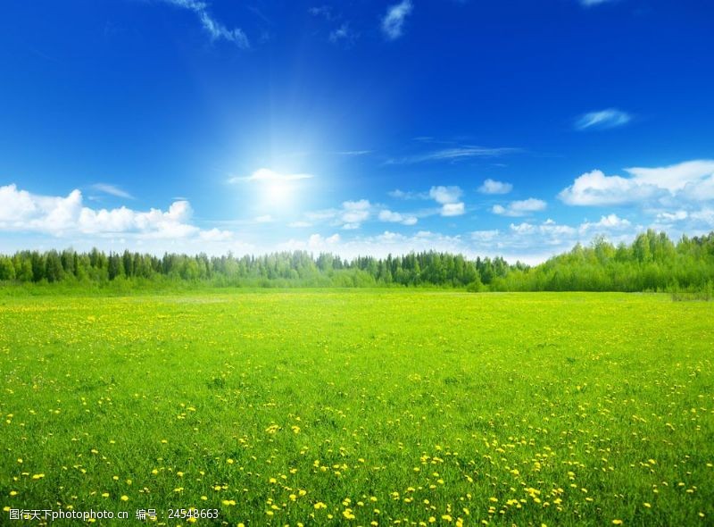 美丽的蓝天蓝天白云下的草原风景图片