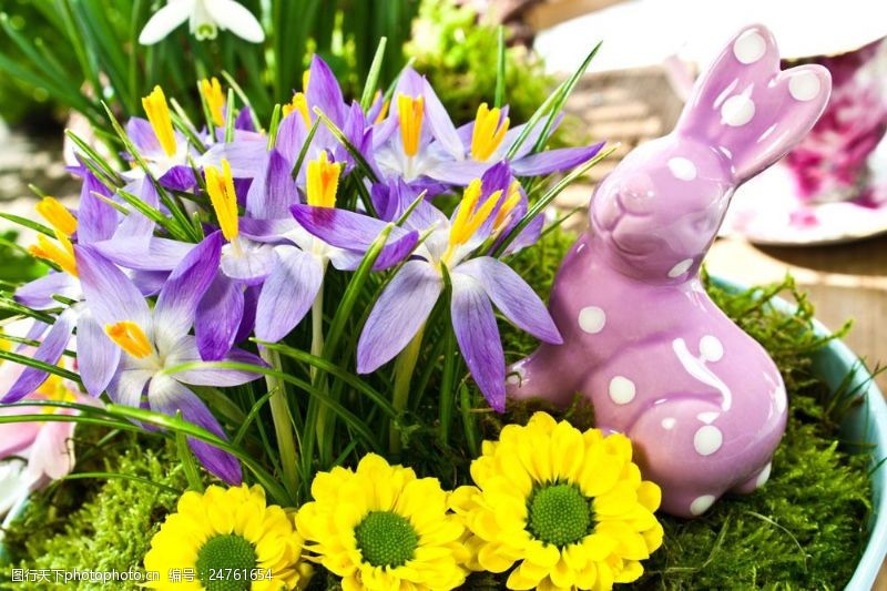 复活草复活节兔子与鲜花图片