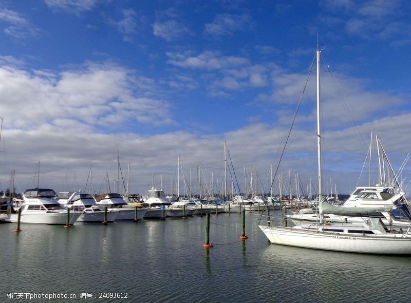 新西兰海滨风光奥克兰游艇码头风光