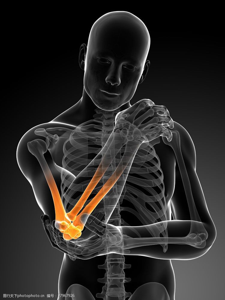 骨骼结构图肘关节疼痛图片