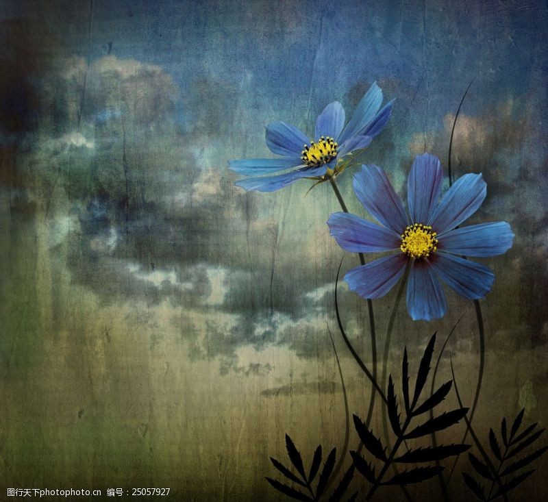 复古花卉背景怀旧背景与蓝色花朵图片