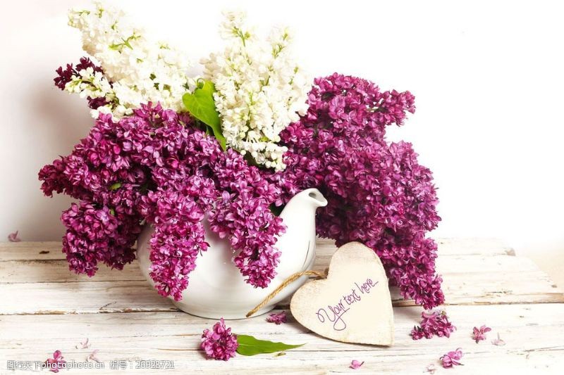 绣球花与贺卡紫色鲜花与爱心贺卡图片
