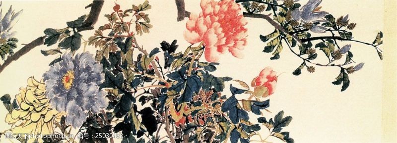 花卉名片横幅牡丹国画图片