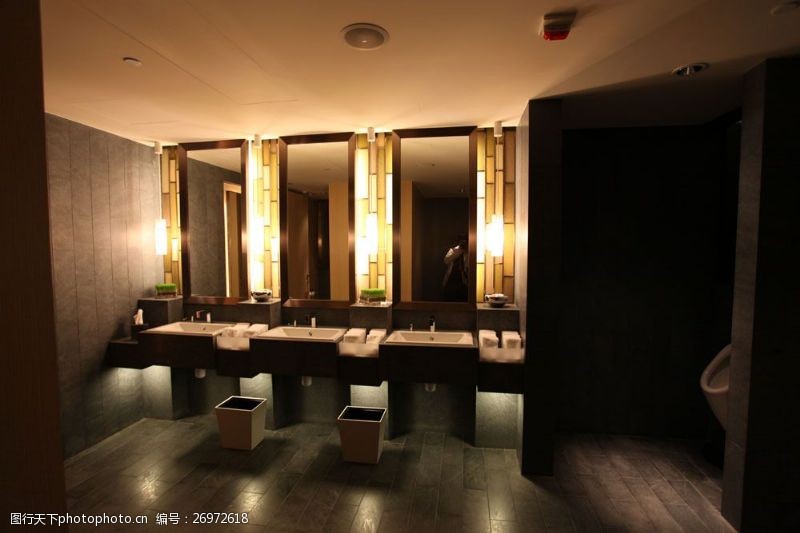 酒店元素酒店卫生间洗手盆区域设计图片