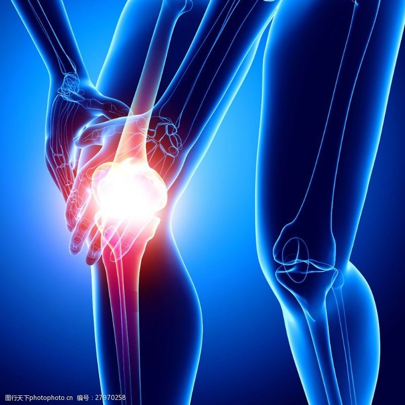 身体器官膝关节受伤的人体模型图片