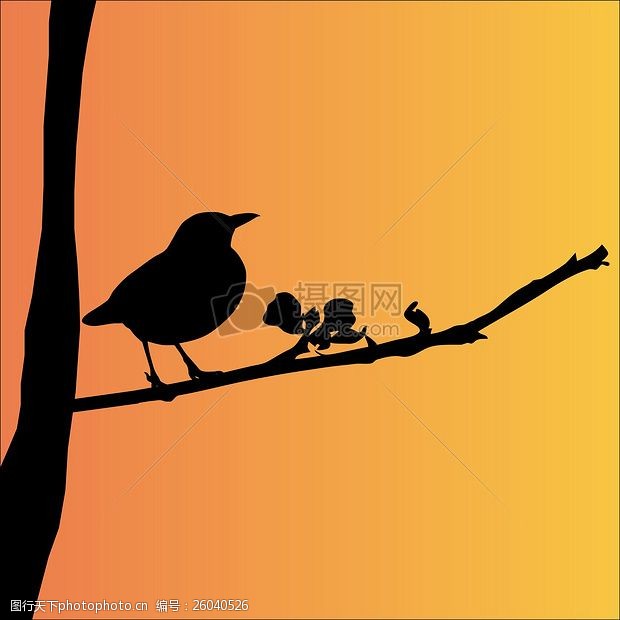 树杈枝桠上的小鸟剪影