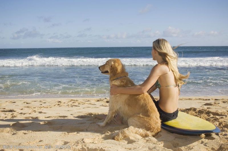小狗名片沙滩上的美女与小狗图片