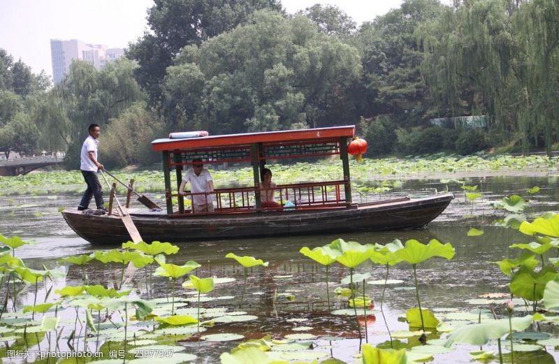 紫竹院的船荷花池中的游船