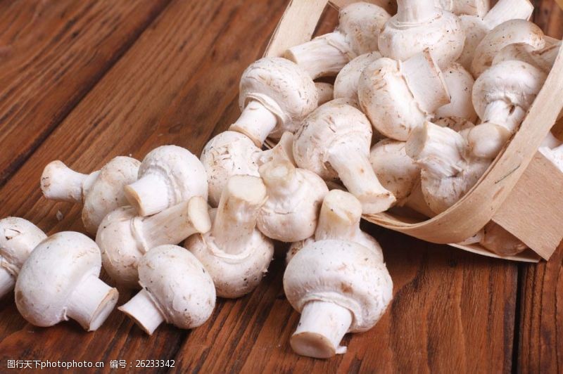 世界美食木板上的蘑菇图片