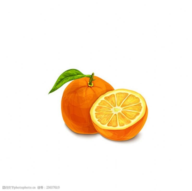 矢量水果素材手绘水彩水彩脐橙子