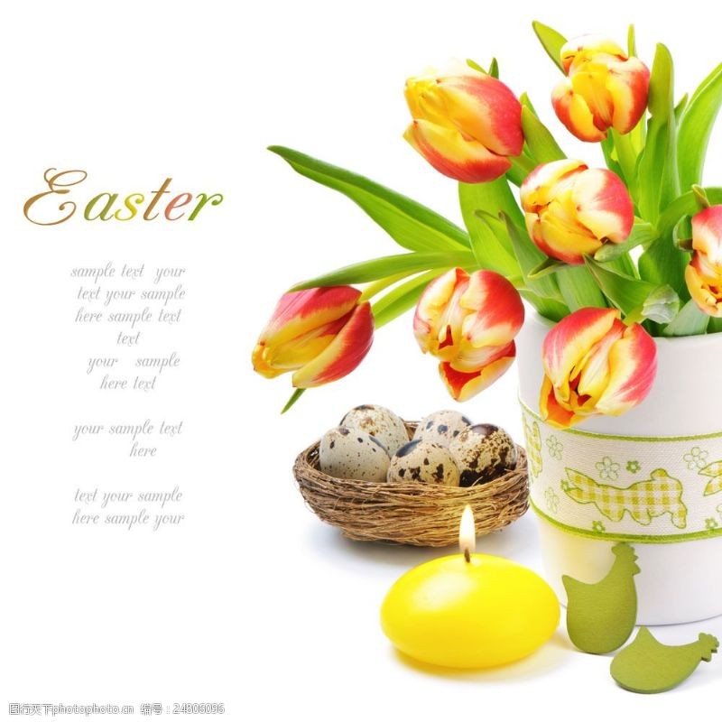 复活草鸟蛋与郁金香鲜花图片