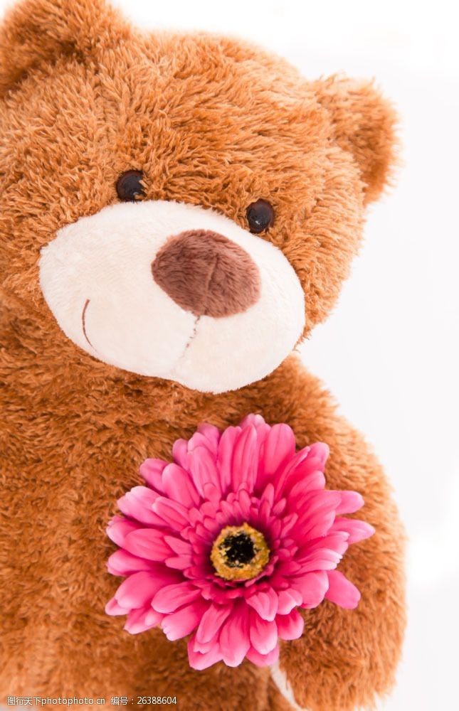 其他类别泰迪熊与花朵图片