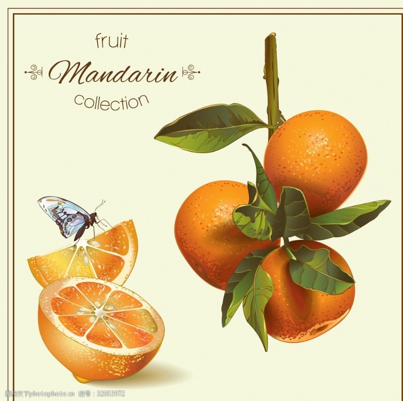 3d作品橘子橙子柠檬水果蝴蝶