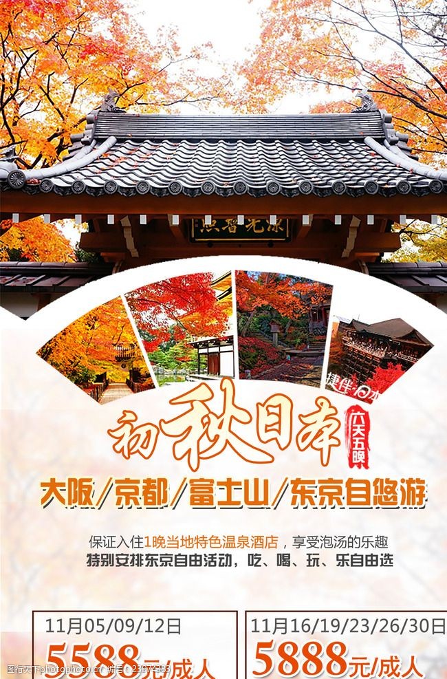 日本日本枫树日本旅游秋天赏枫