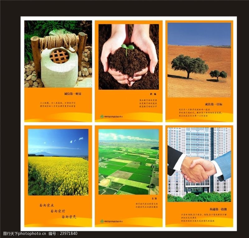 手树苗农业生物科技海报