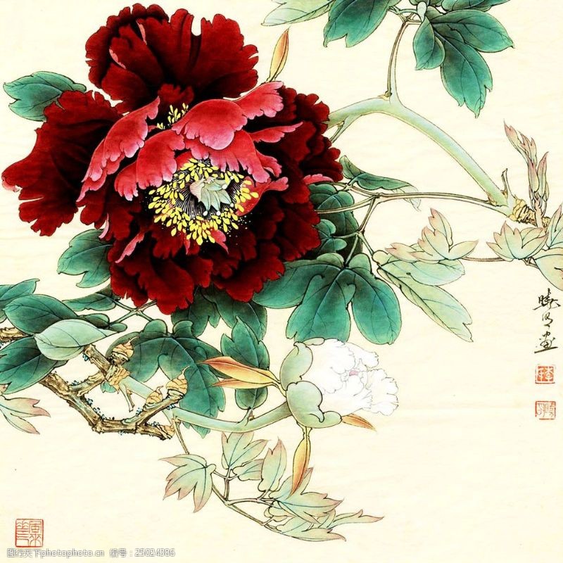 花卉名片手绘红色牡丹图片