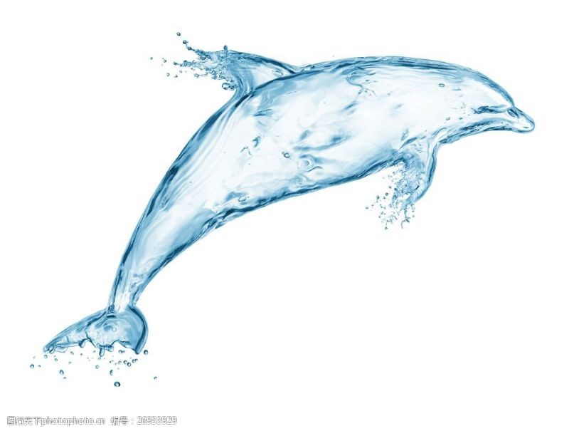 创意概念海豚水花图片