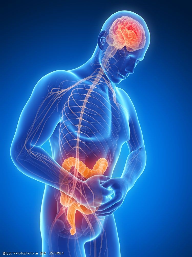 神经系统疾病男性腹痛大肠结构图片