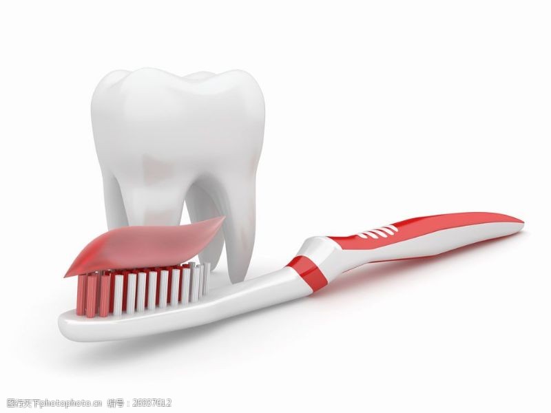卫生与保健红色牙刷与牙齿模型图片