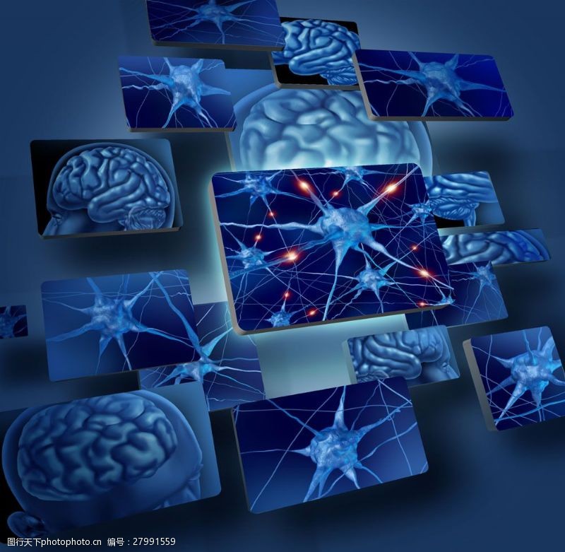 大脑神经神经与脑模拟图图片