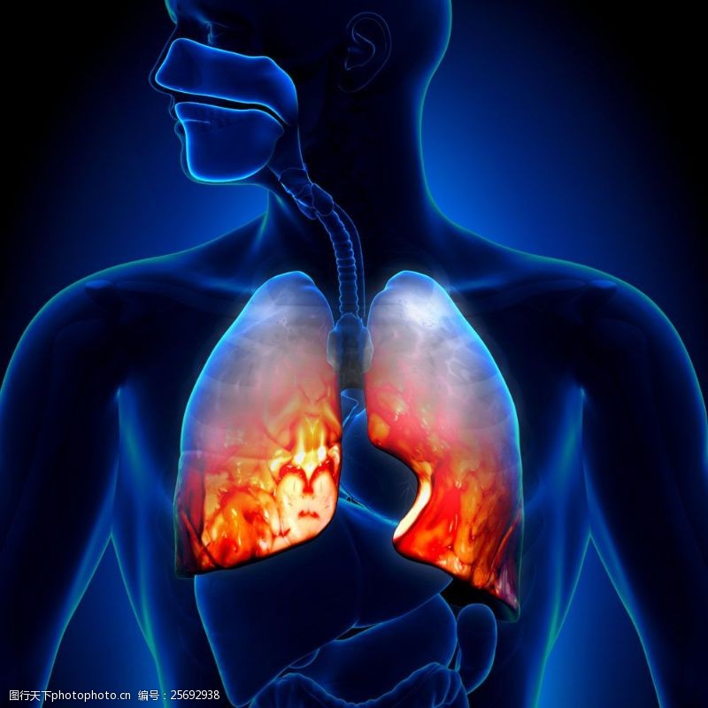 身体器官肺部发生病变图片