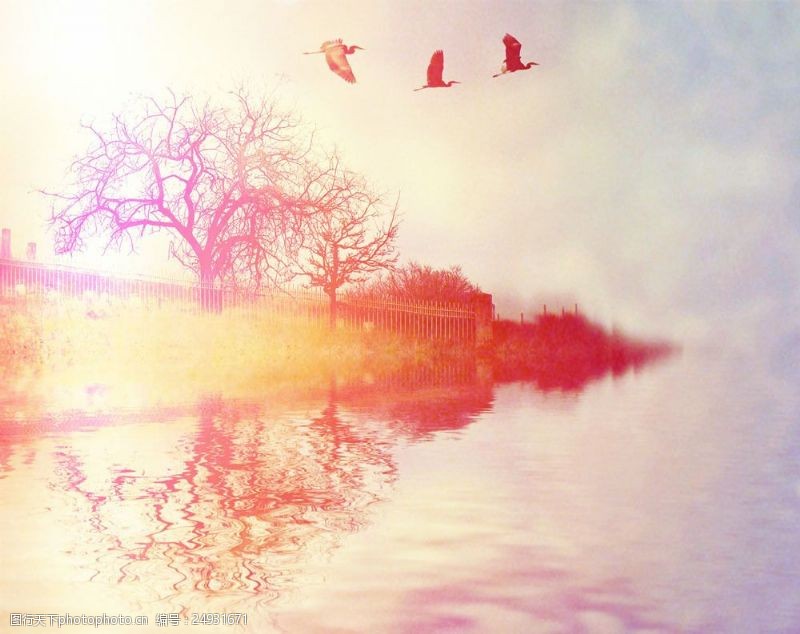 湖边风景湖边正在飞翔的仙鹤图片