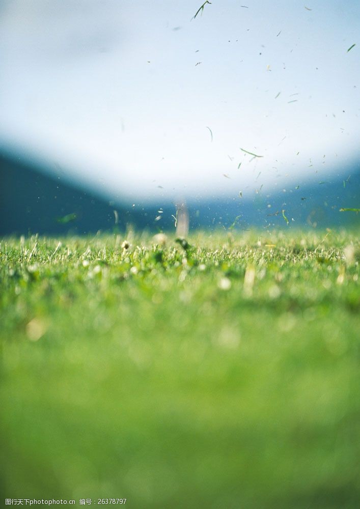 丛飞高尔夫球场草地上飞起的灰尘图片