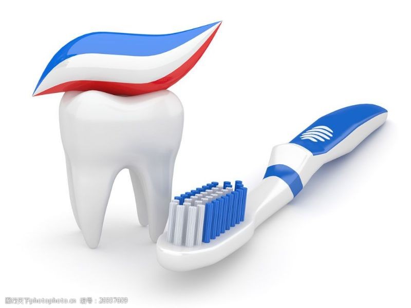 卫生与保健牙齿模型与牙刷图片