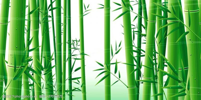 高清壁纸墙纸绿色竹子素材背景墙