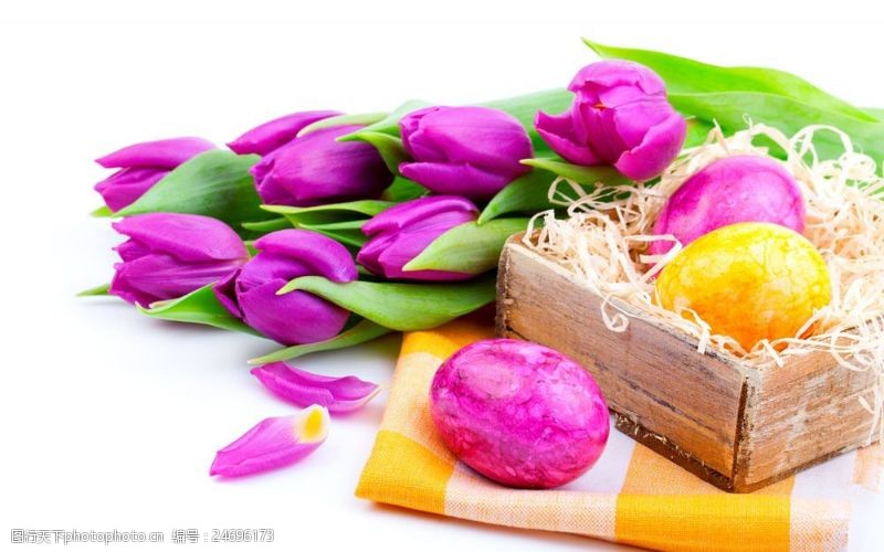 复活草彩蛋和鲜花图片