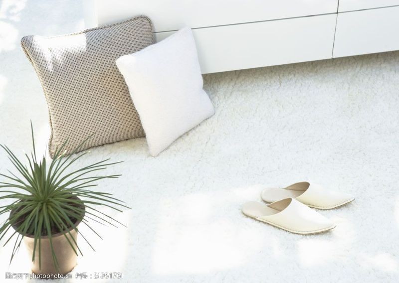 沙发与地毯地毯上的抱枕与拖鞋图片
